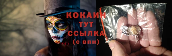 бошки Мегион