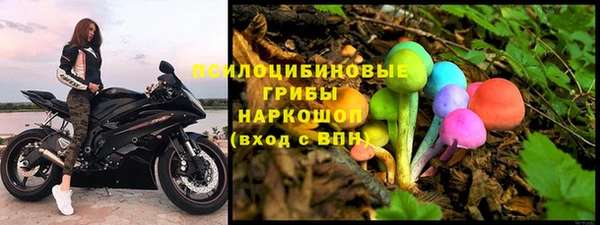 стаф Краснослободск
