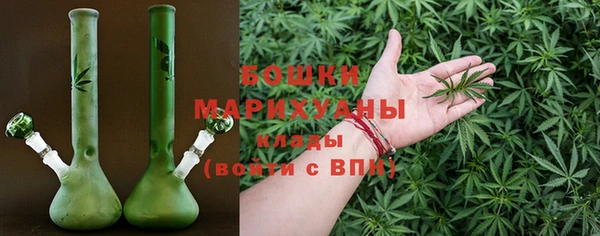 стаф Краснослободск