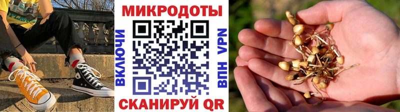 Галлюциногенные грибы Psilocybine cubensis магазин Юрьевец